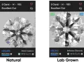 Side-by-side comparison of a natural and lab-grown diamond. Both are 5 Carat, H, VS1, Excellent Cut. The natural diamond costs $129,393, while the lab-grown is $35,963.