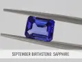 A faceted, deep blue sapphire, the September birthstone, is held by silver tweezers against a light gray background.