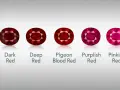Five oval-cut rubies, showcasing a spectrum of red hues from dark to pinkish, represent the July birthstone.
