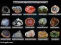 A collage showcasing various types of agate, including Onyx, Fairburn, Lake Superior, Moss, Thunder-egg, Dendritic, Botswana, Condor, Coyamito, Plume, Enhydro, Polyhedroid, Crazy Lace, Sagenite, and Iris Agate.