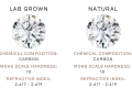 Two identical diamonds are shown, one representing lab grown vs natural diamond. Both have identical chemical composition, hardness, and refractive index.