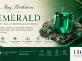 May 25th birthstone: a stunning emerald, the gem of renewal and wisdom, symbolizing rebirth, love, and prosperity.