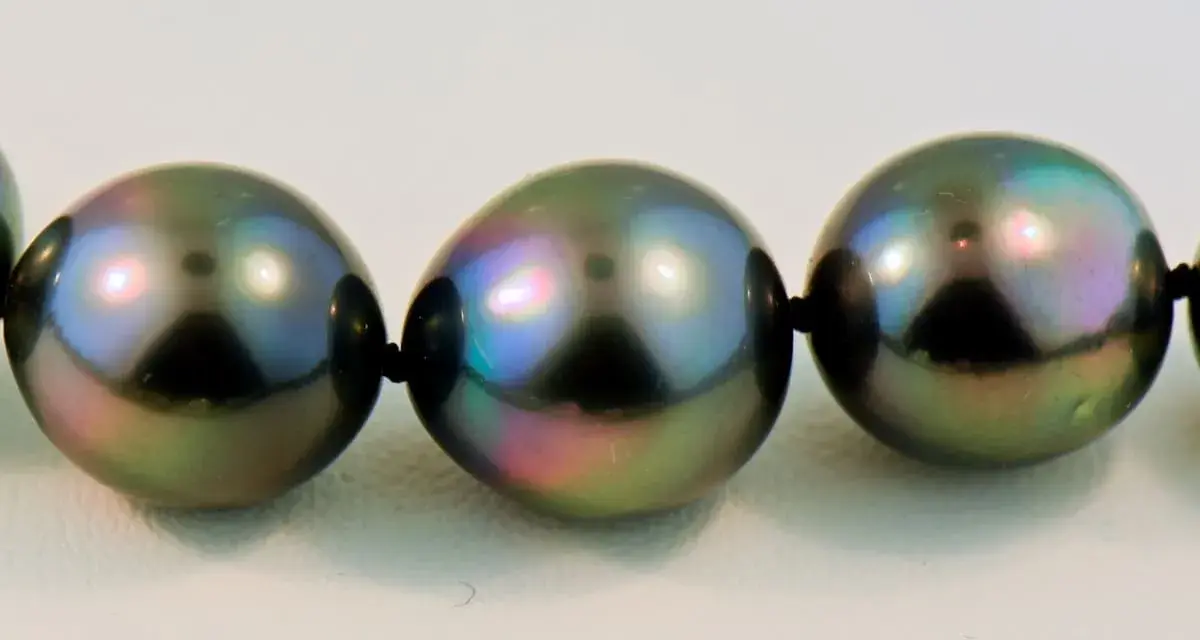 A close-up of a strand of dark, iridescent pearls with peacock green and purple overtones.