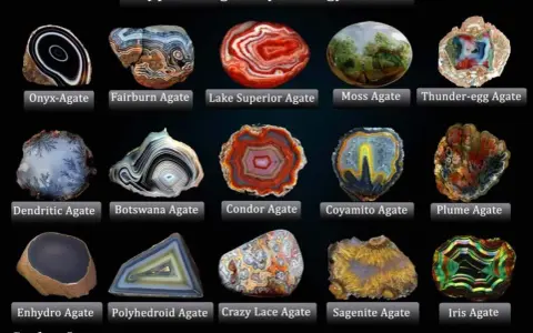 A collage showcasing various types of agate, including Onyx, Fairburn, Lake Superior, Moss, Thunder-egg, Dendritic, Botswana, Condor, Coyamito, Plume, Enhydro, Polyhedroid, Crazy Lace, Sagenite, and Iris Agate.