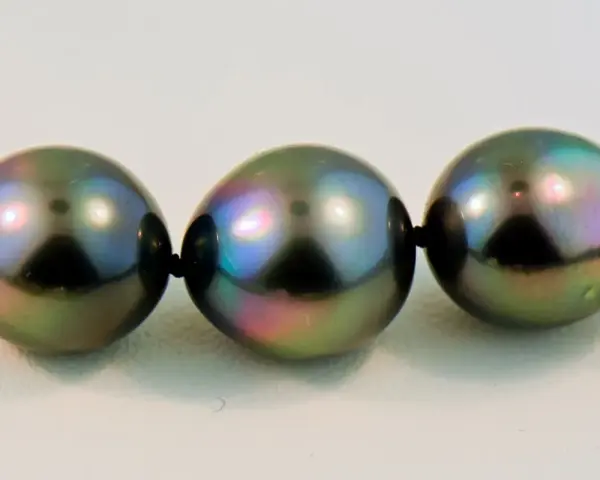 A close-up of a strand of dark, iridescent pearls with peacock green and purple overtones.