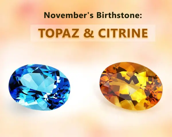 Two oval gemstones, a vibrant blue topaz and a warm citrine, represent November's birthstone.