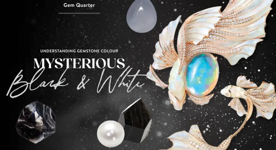 Mysterious black and white gemstone collection, featuring a pearl, obsidian, and a pear-shaped chalcedony.